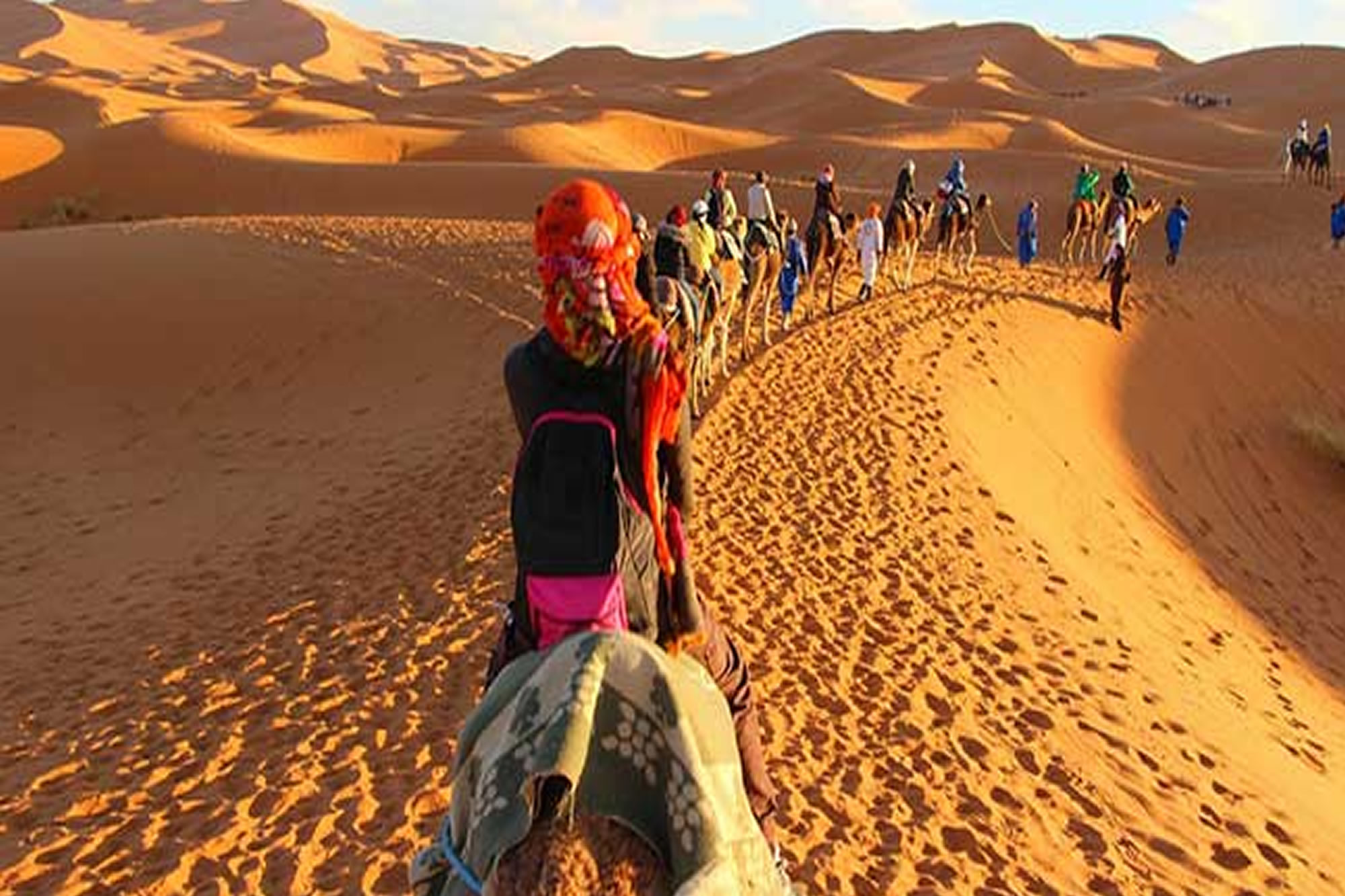MARRAKECH Camel Ride Excursions Tours Marrakech