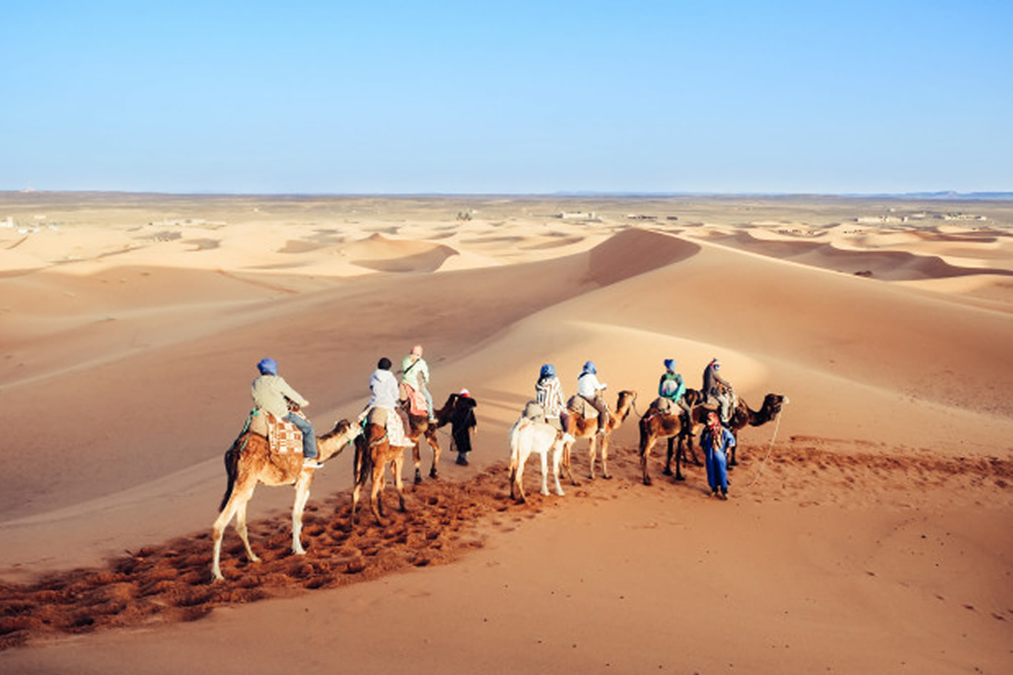 medium camel Merzouga marrakech tours day desert