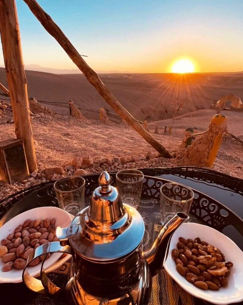 medium the tree of ouarzazat ait ben haddou camel