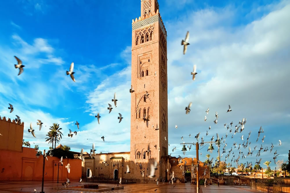 medium day tours to koutoubia mosque marrakech