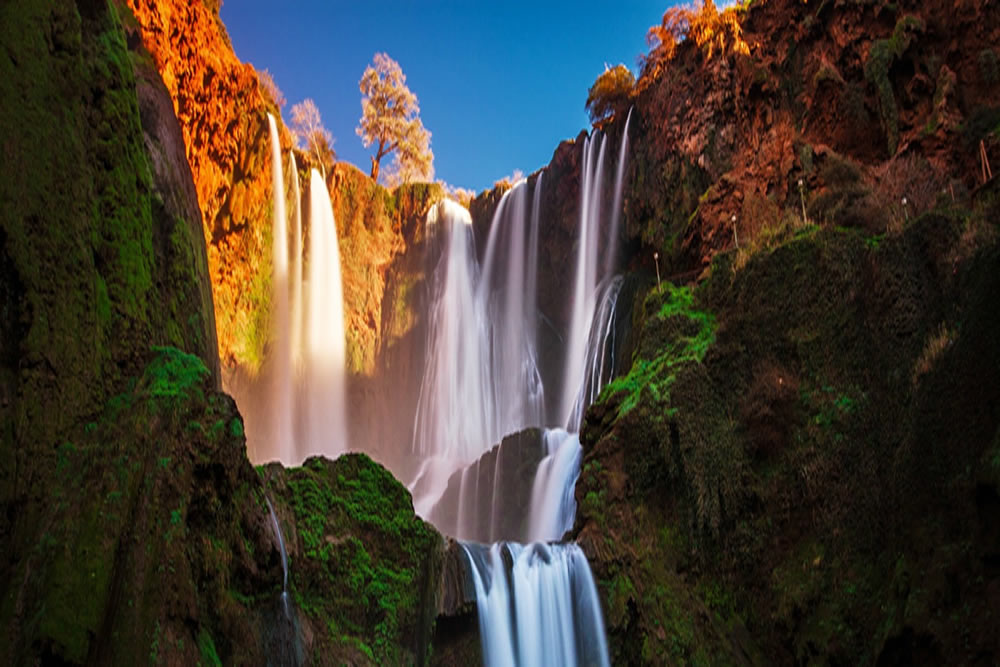 medium morocco tours to OUZOUD waterfalls Monkeys