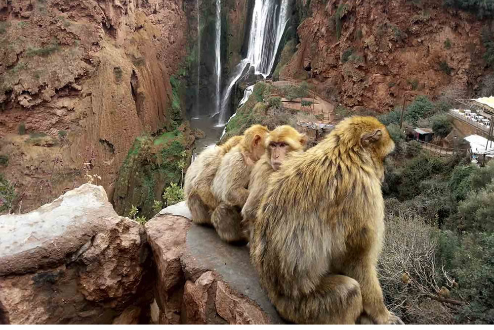 medium trips in mountains morocco