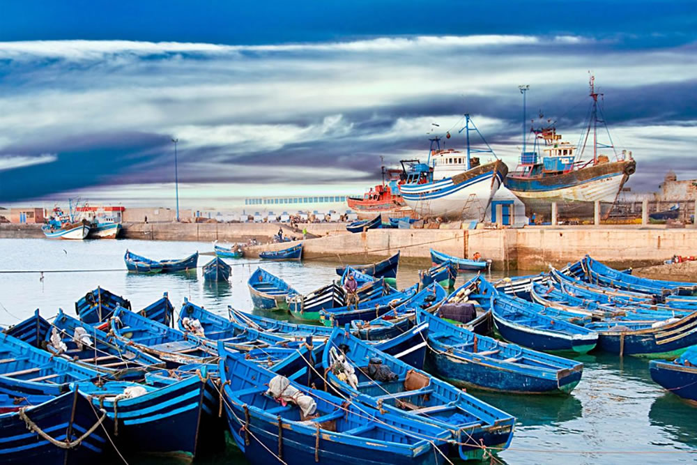 medium The Sea Fishing essaouira Harbor