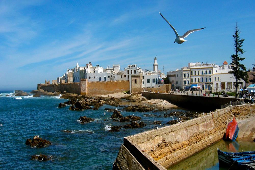 medium the beach of essaouira trips day