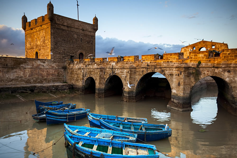 medium Harbor essaouira trips day
