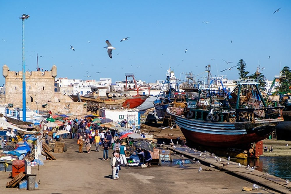 medium tours to Harbor essaouira