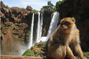 OUZOUD WATERFALL DAY TRIP FROM MARRAKECH